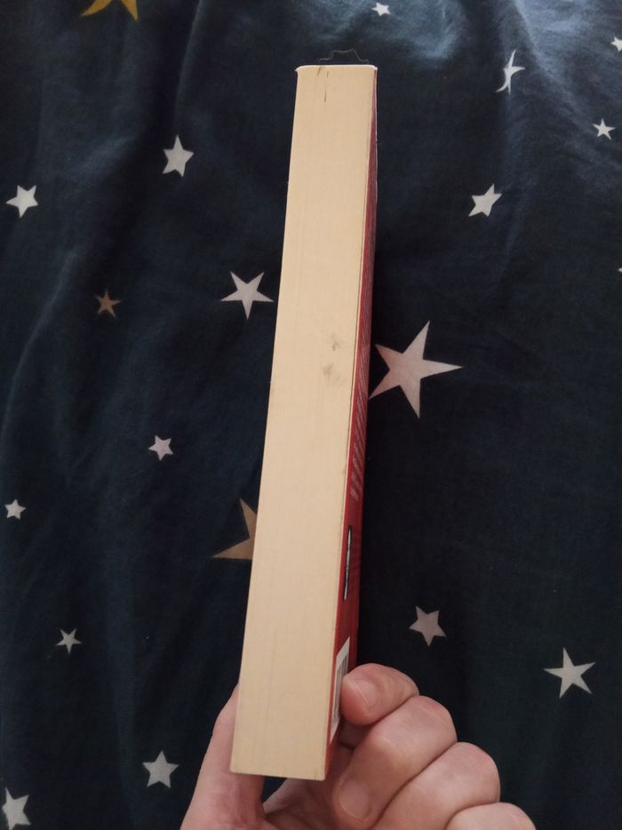 Livre (66) 📚 Au secours, il m'aime ! - photo numéro 4