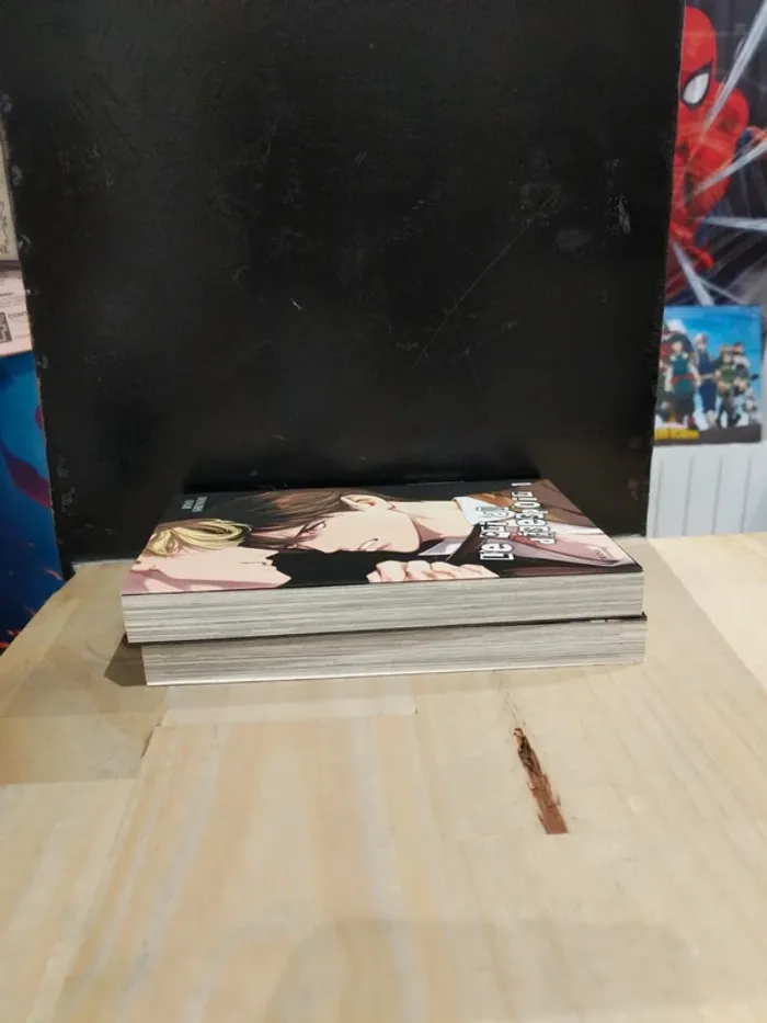 Lot Le Cri du Désespoir – Tomes 1 & 2 - photo numéro 3
