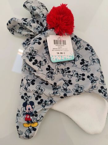 Lot bonnet et moufles