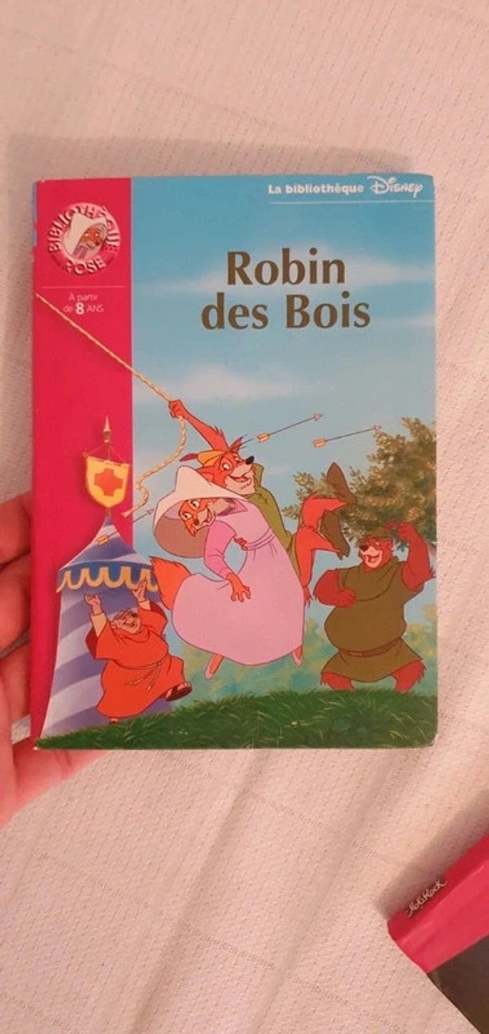 Lolirock T10 et Robin Des Bois Bibliothèque Rose - photo numéro 2