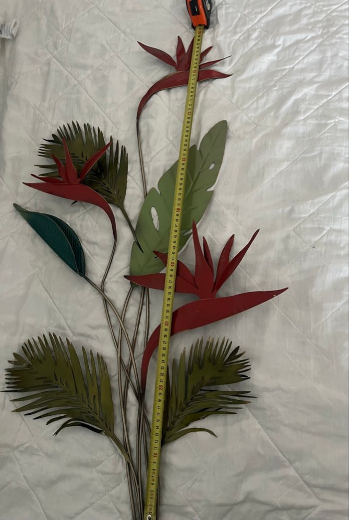 Plante décorative- oiseaux de paradis - photo numéro 9