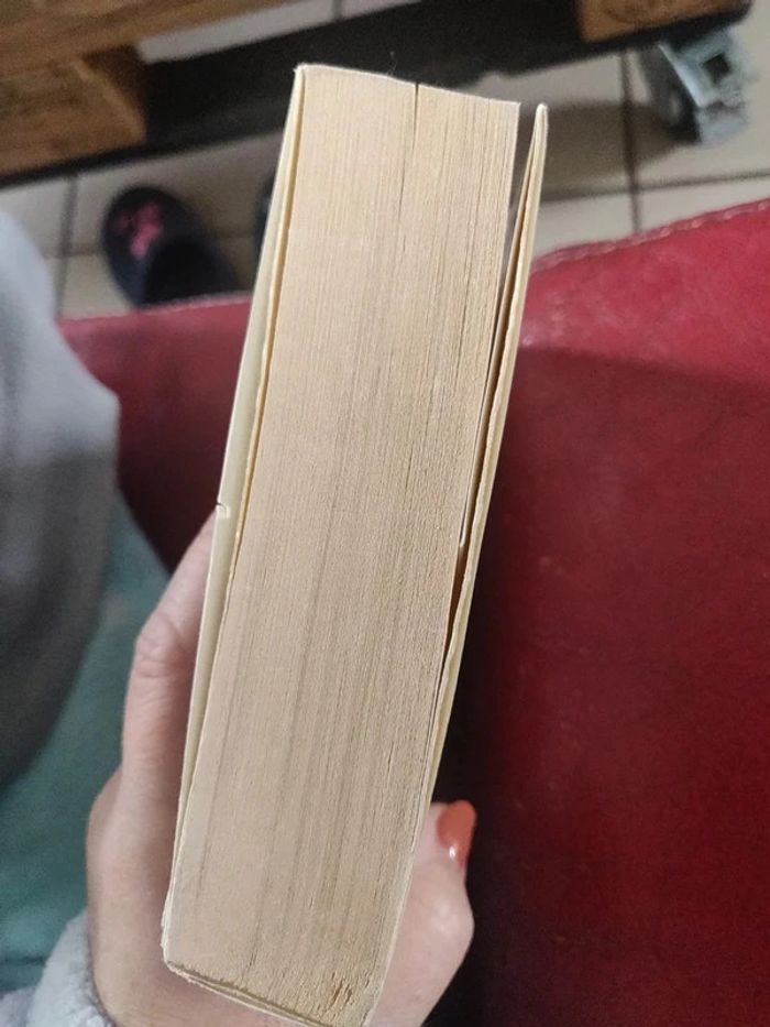 Les courriers de la mort de Pierre Magnan - photo numéro 6