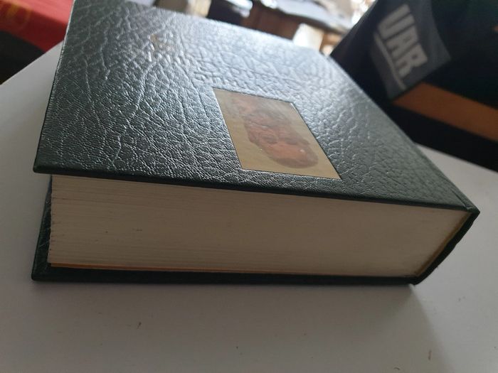 Le Grand Guide Des Trucs Et Astuces - (1 Dvd) de Papytruc - photo numéro 4