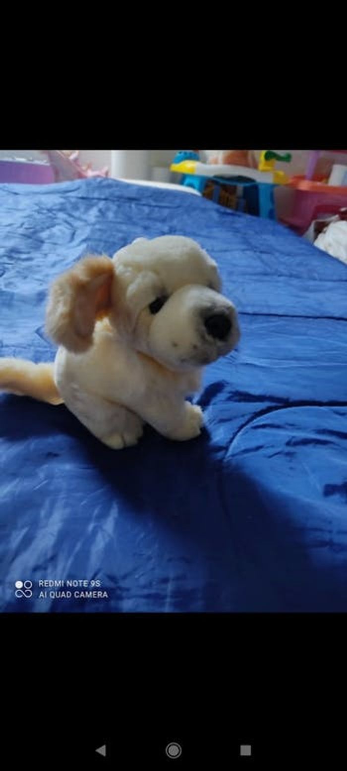 Peluche chien