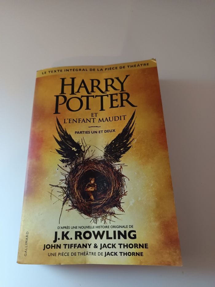 Livre Harry Potter - photo numéro 2