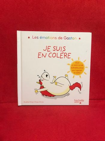 Livre les émotions de Gaston je suis en colère