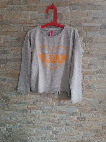 Sweat gris Pundidz 10A