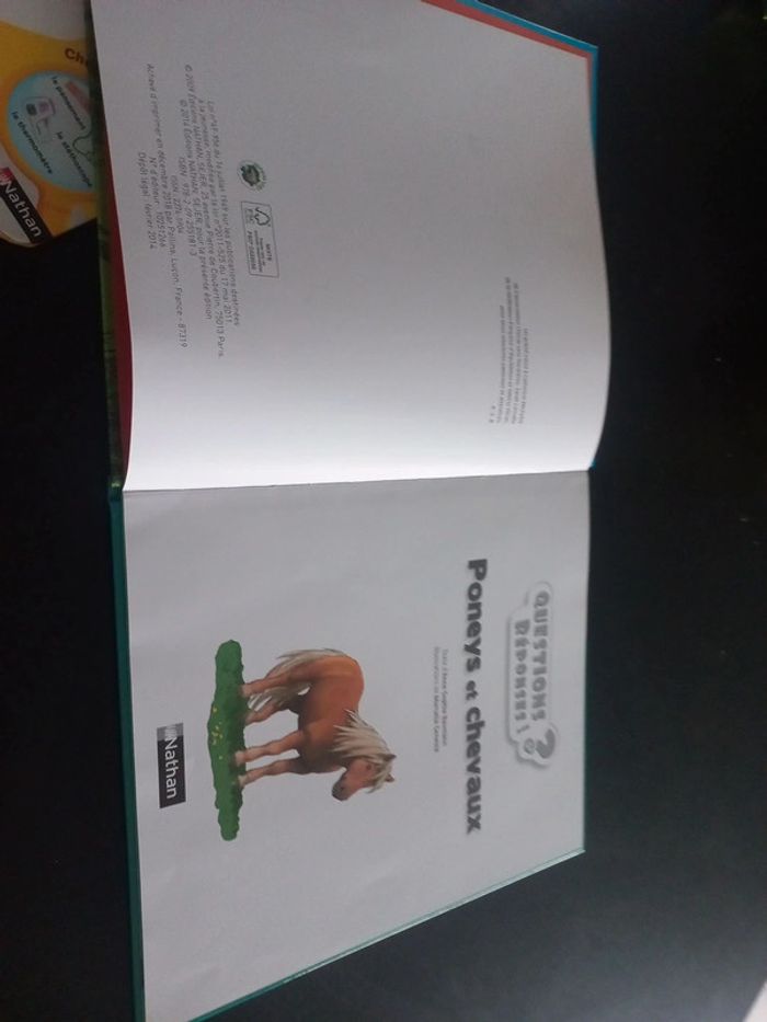Livre questions réponses poneys et chevaux - photo numéro 2