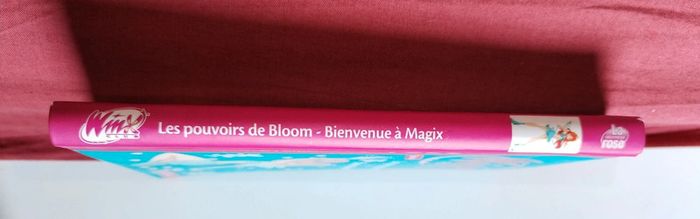 Livre Winx club - photo numéro 9
