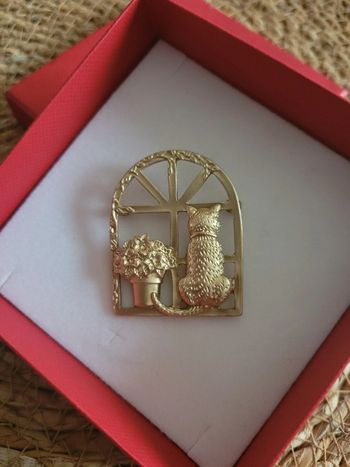 Broche chat a la fenêtre acier brossé