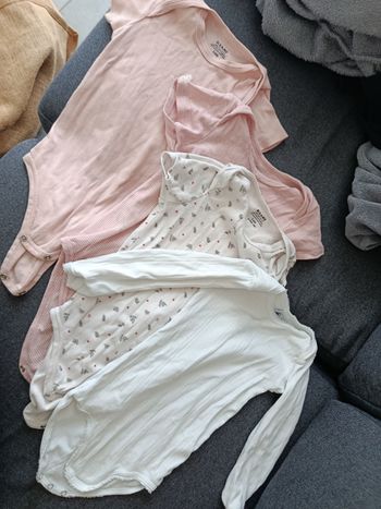 Lot body