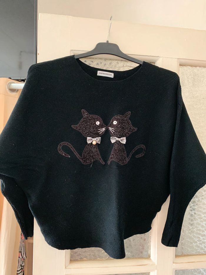 Pull chat chauve souris