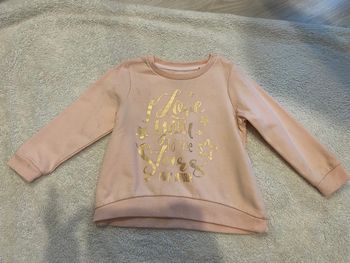 Sweat palomino