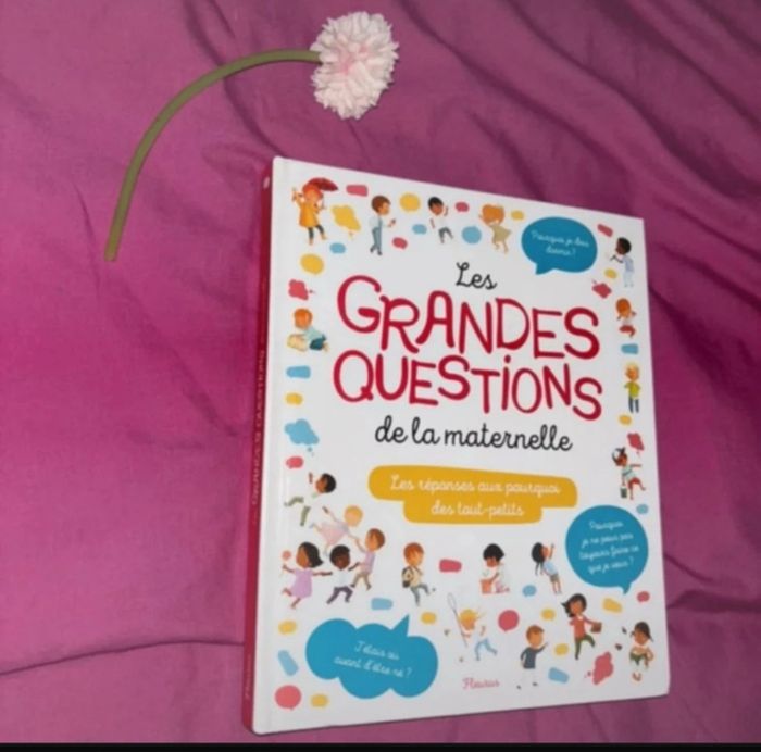 Grande questions de la maternelle - photo numéro 2