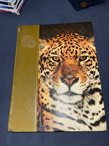 Livre pour enfants le royaume des animaux