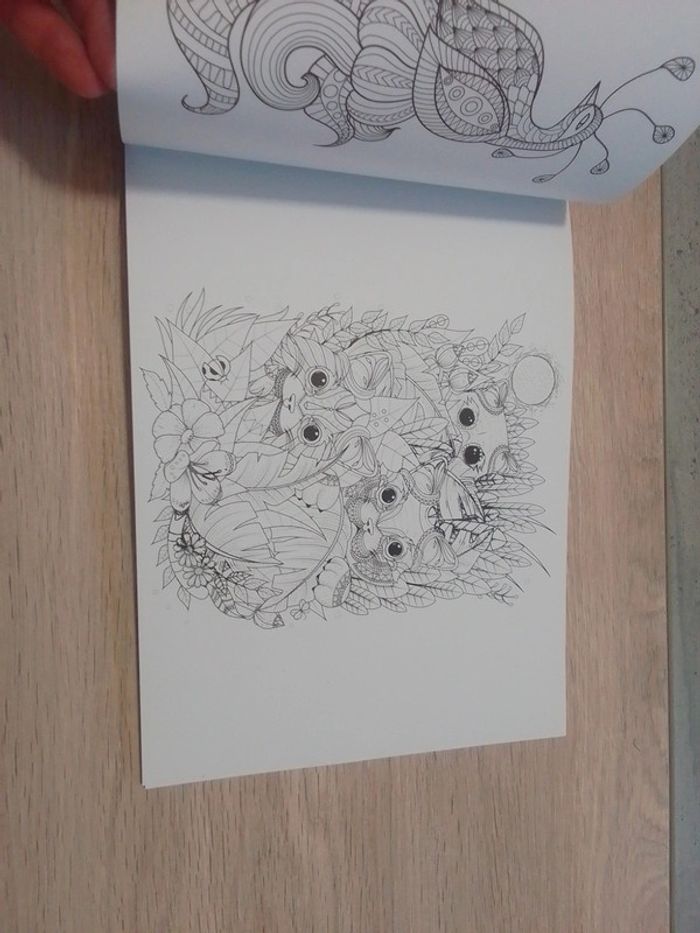 Livre coloriage - photo numéro 2