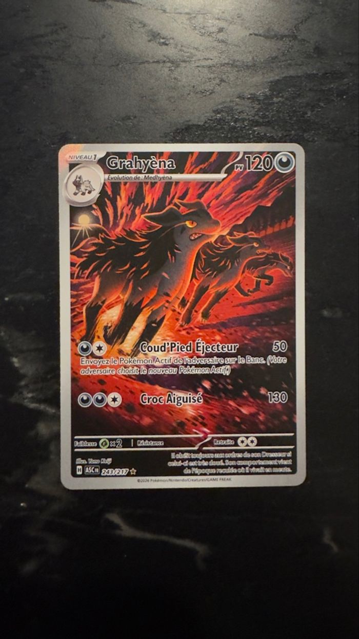 Pokémon - Grahyèna AR 243/217 NM ME2.5