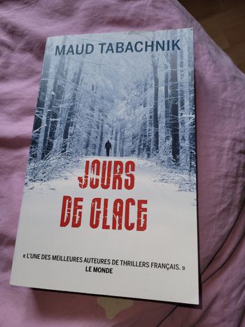 Jours de glace Maud Tabachnik