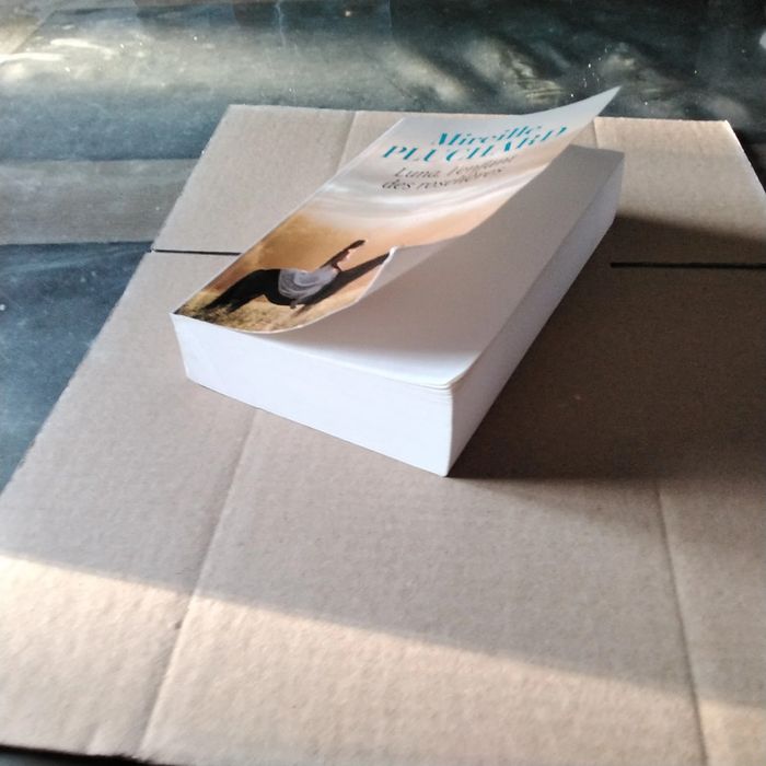 Luna, l’ enfant des roselières Mireille Pluchard - photo numéro 7