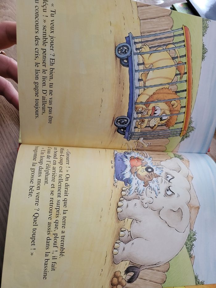 Livre Mini loup - photo numéro 4