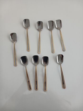 Lot de 9 Cuillères à Dessert Café - Style Inox & Doré