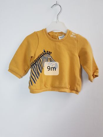Pull sweat jaune zebre TAO 6 mois