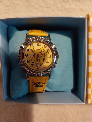 Coffrer montre pikatchu mixte