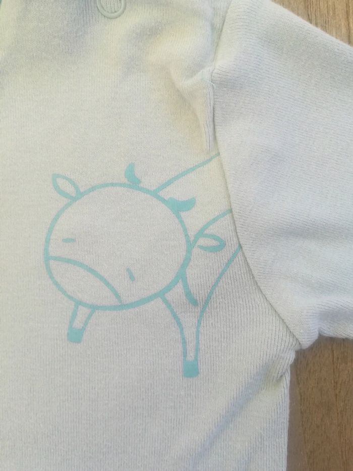 Tshirt manches courtes - photo numéro 4