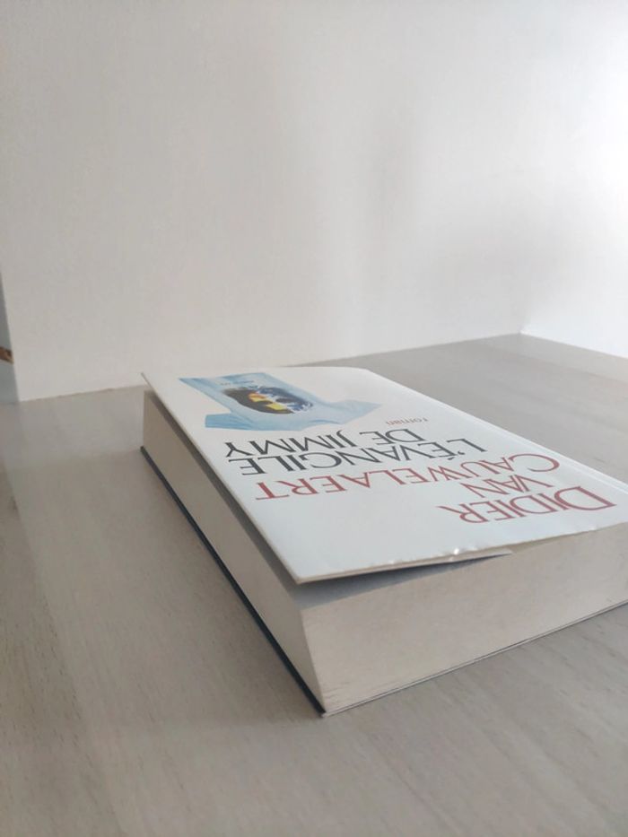 Livre grand format l'évangile de Jimmy Didier Van Cauwelaert - photo numéro 3