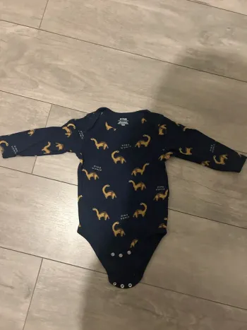 Body dinosaure