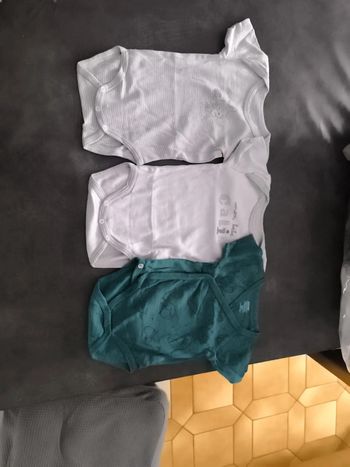 Bodies