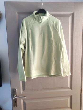 Pull polaire