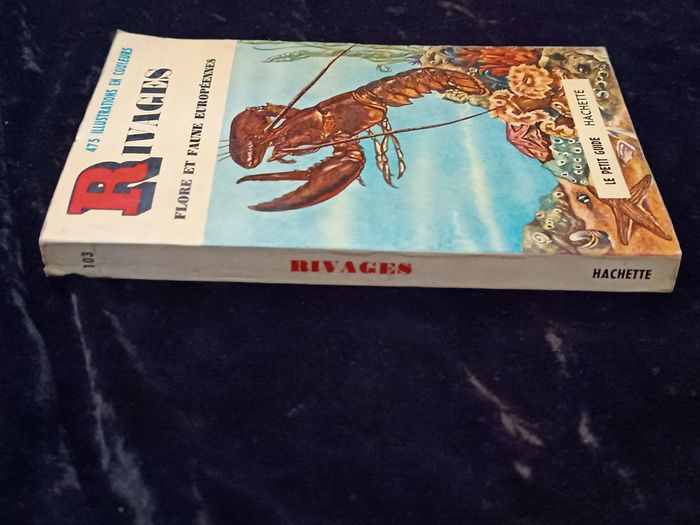 Petit guide flore et faune européennes Hachette - photo numéro 5