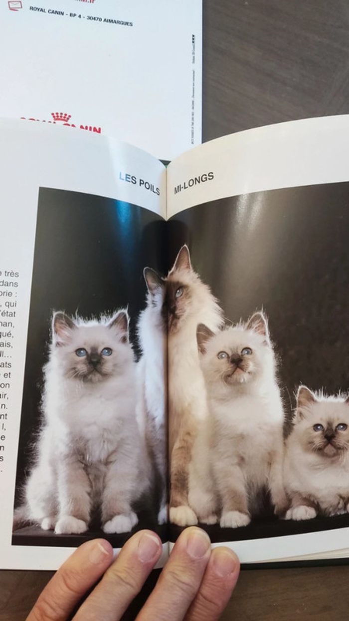 Les chats Guide Vert Solar + Le livre du chaton de Royal canin - photo numéro 12