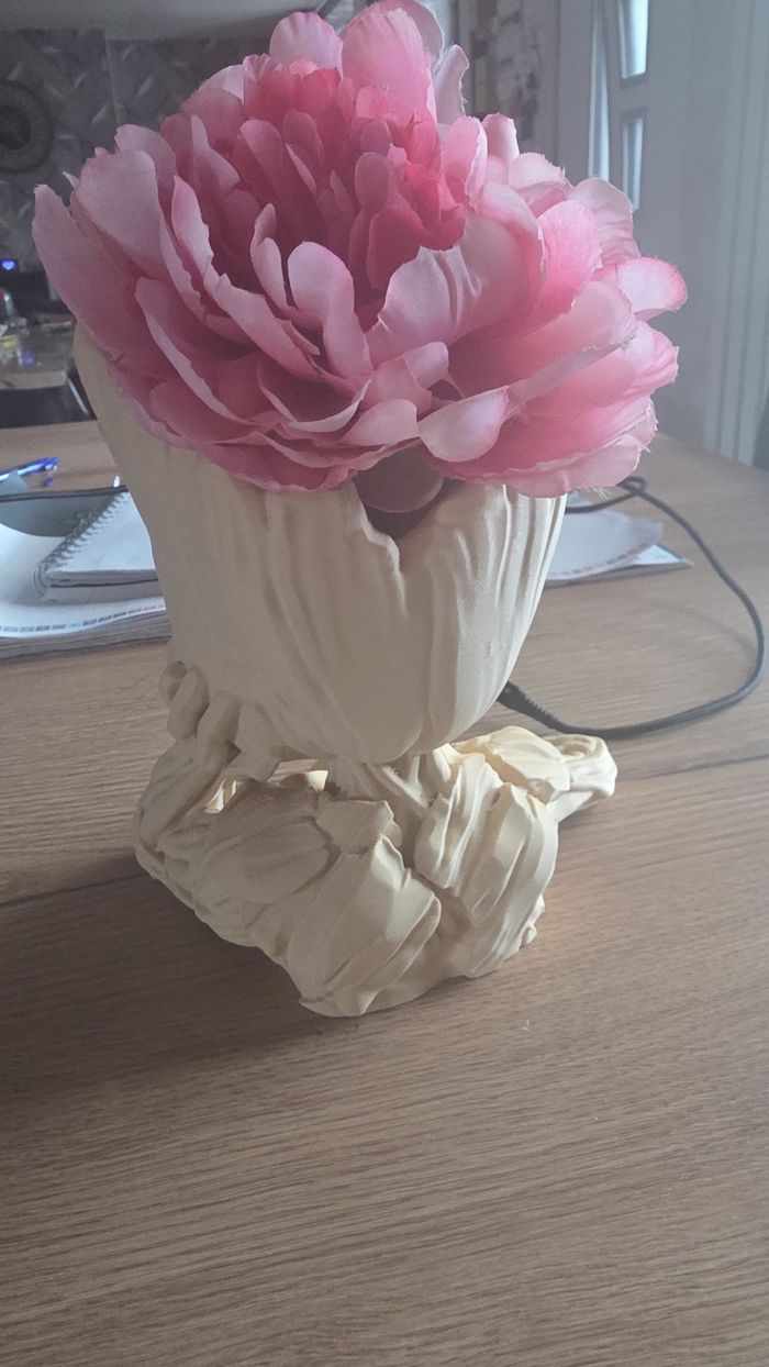 Groot - photo numéro 2