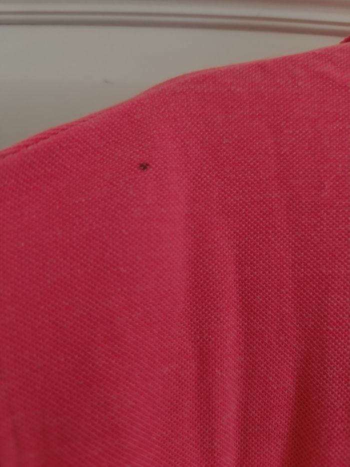 Polo fluo - photo numéro 4