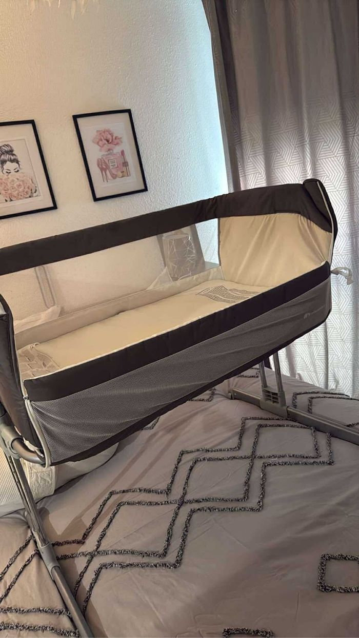 Cododo - photo numéro 2