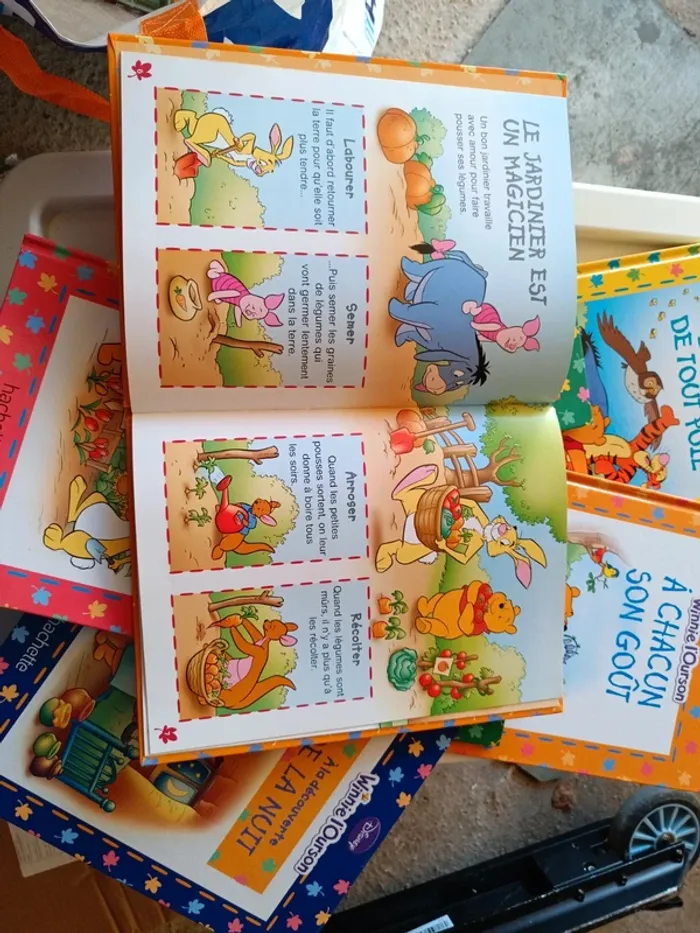 Winnie l'Ourson - photo numéro 8