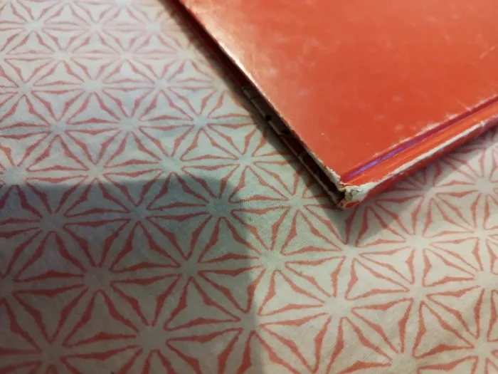 Walt Disney les 101 dalmatiens - photo numéro 4