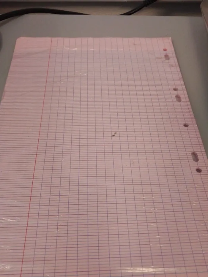 Feuilles de classeur