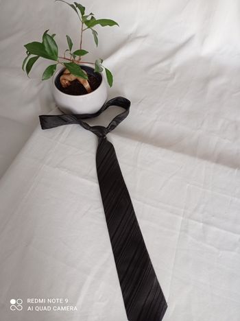 cravate grise rayée