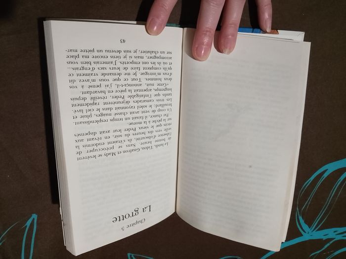 Les 6 compagnons - photo numéro 8