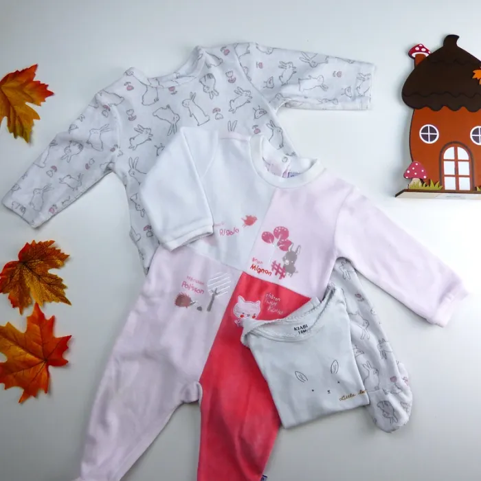 Dodo d'automne #485