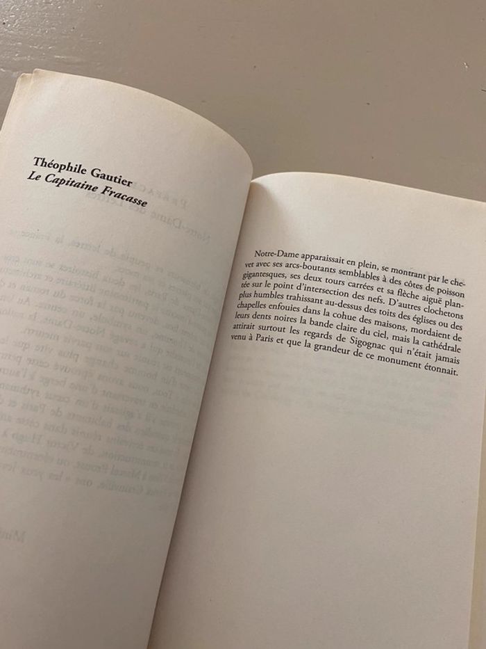 Livre Notre Dame - photo numéro 7