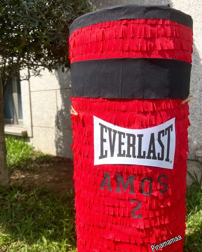 Pinata - photo numéro 2