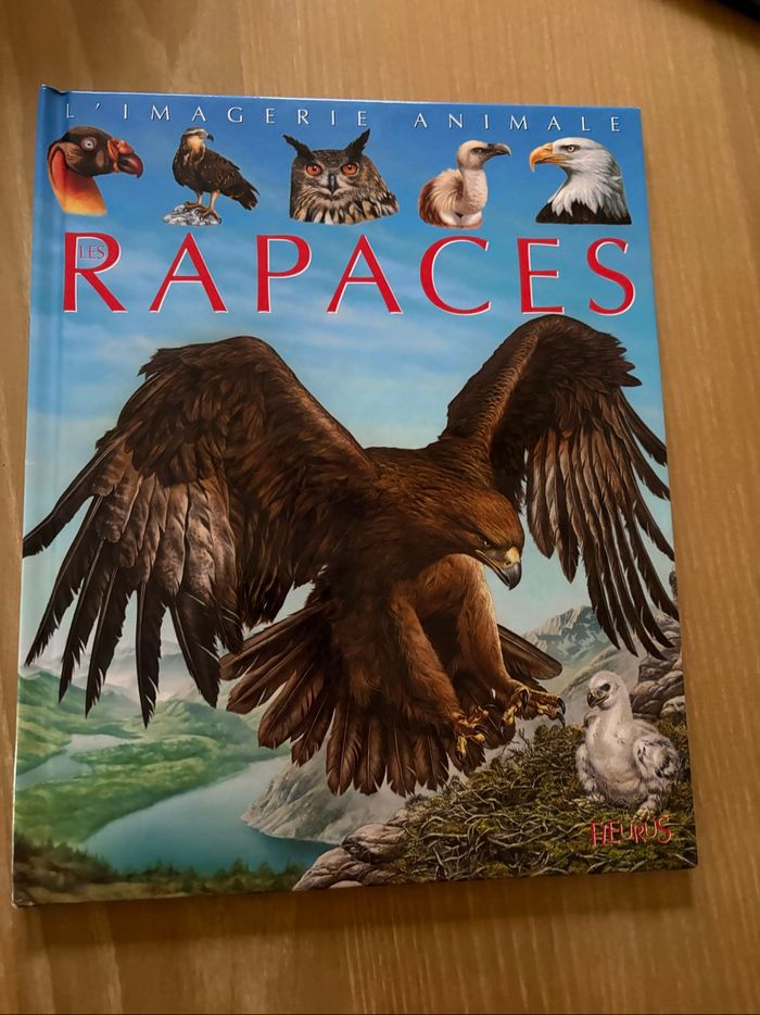 La grande imagerie - photo numéro 4