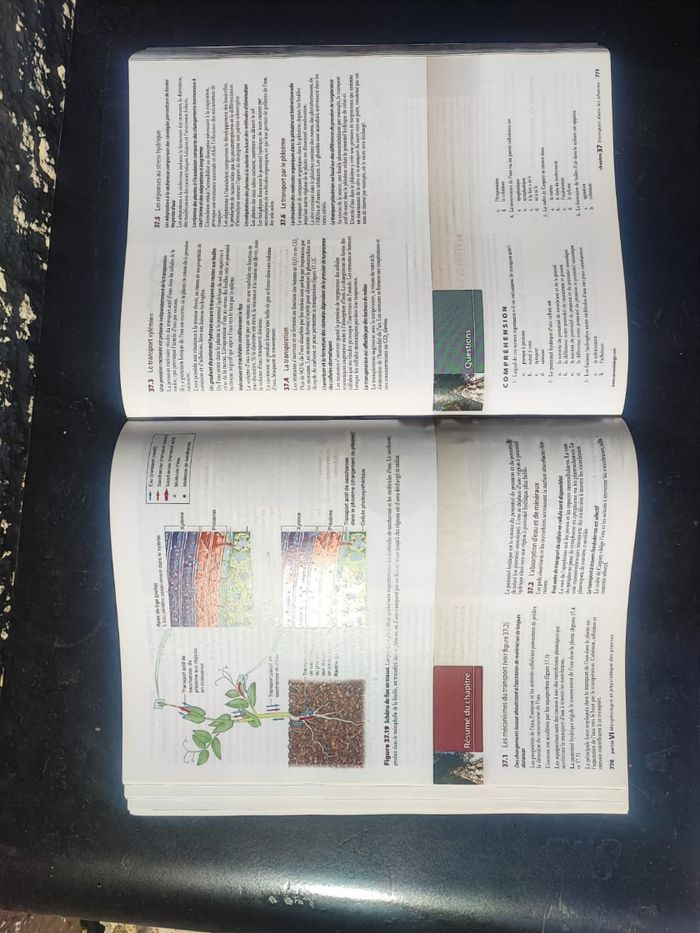Livre biologie - photo numéro 4