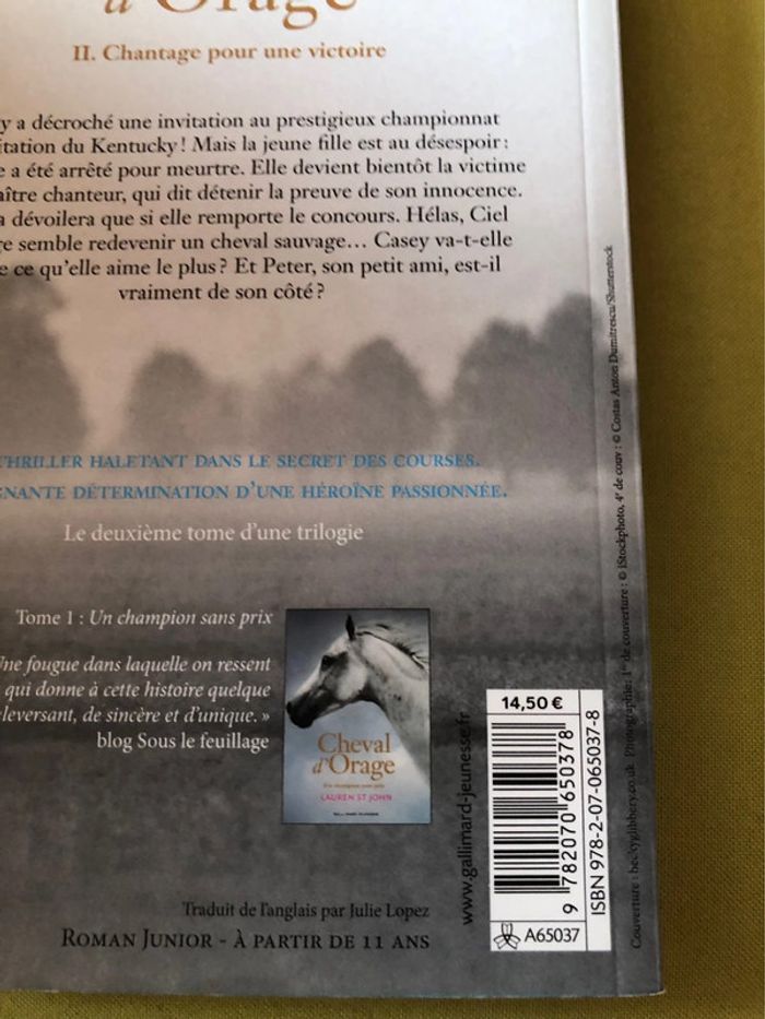 Livre cheval d’orage Lauren st John - photo numéro 5