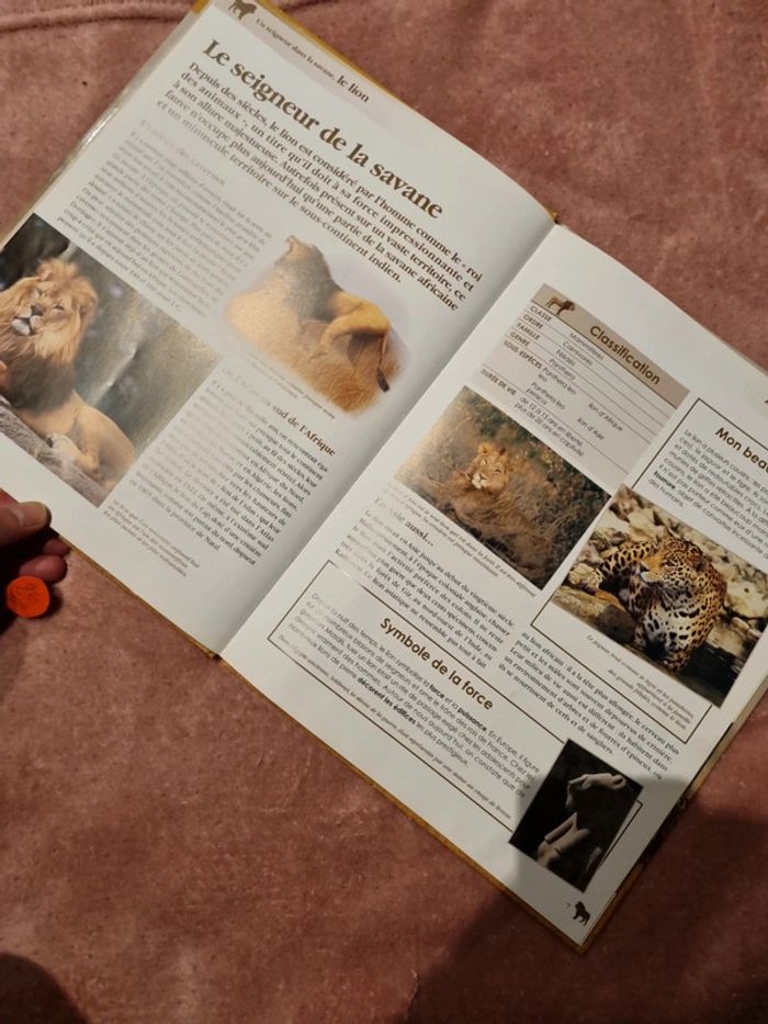 Livre découverte - photo numéro 4