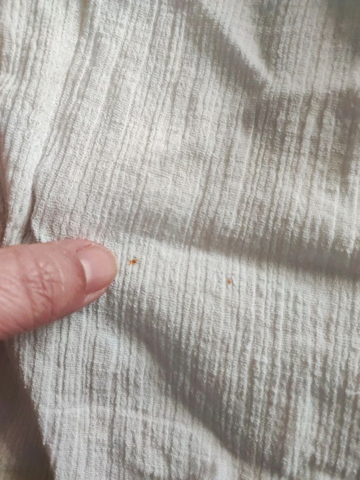 Tablier ancien style communion - photo numéro 9